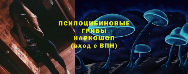 сатива Алексин