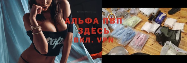 сатива Алексин