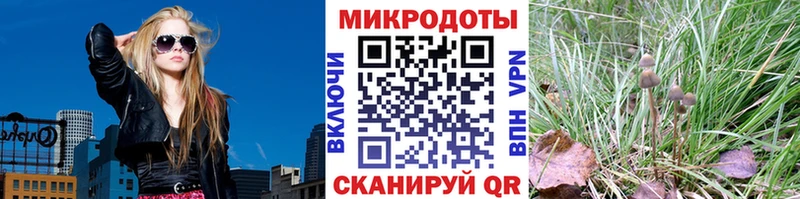 mega ссылка  Власиха  Галлюциногенные грибы Cubensis 